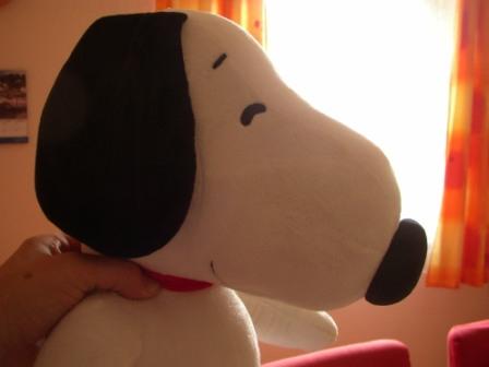 Krumbach Snoopy 6/2007